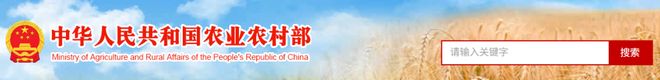 仕珍珠夏日专场主播佩琦大爱的珠光宝气瓦力棋牌试玩优雅不费力价格更美丽!阮(图10) 仕珍珠夏日专场主播佩琦大爱的珠光宝气瓦力棋牌试玩优雅不费力价格更美丽!阮(图10)